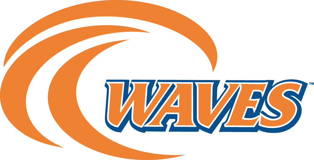 Pepperdine Waves 2004-Pres Alternate Logo diy iron on heat transfer